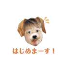 宮スタ！（個別スタンプ：8）