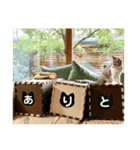 花と琥珀と実々-2（個別スタンプ：2）