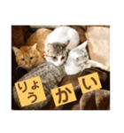 花と琥珀と実々-2（個別スタンプ：5）