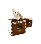 花と琥珀と実々-2（個別スタンプ：18）