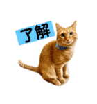 花と琥珀と実々-2（個別スタンプ：23）