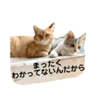 花と琥珀と実々-2（個別スタンプ：25）