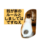 花と琥珀と実々-2（個別スタンプ：37）