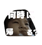 家族内のスタンプ（個別スタンプ：15）