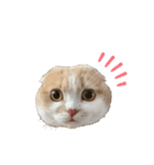ツインズのお顔（個別スタンプ：1）