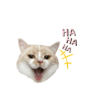 ツインズのお顔（個別スタンプ：3）