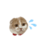 ツインズのお顔（個別スタンプ：10）