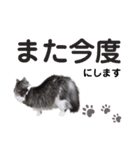【実写版】美容院の予約にも！のんちゃん（個別スタンプ：28）
