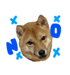 成長した御犬様（個別スタンプ：2）