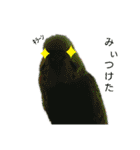 ぴたぽぷぱちぺぱ（個別スタンプ：3）
