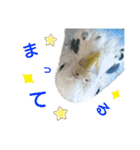 ぴたぽぷぱちぺぱ（個別スタンプ：14）