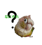 ぴたぽぷぱちぺぱ（個別スタンプ：16）
