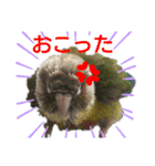 ぴたぽぷぱちぺぱ（個別スタンプ：17）