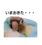 ぴたぽぷぱちぺぱ（個別スタンプ：18）