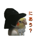 ぴたぽぷぱちぺぱ（個別スタンプ：23）