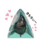 ぴたぽぷぱちぺぱ（個別スタンプ：32）