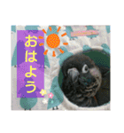 ぴたぽぷぱちぺぱ（個別スタンプ：33）