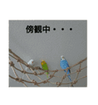 ぴたぽぷぱちぺぱ（個別スタンプ：38）