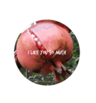 zakuro fruits（個別スタンプ：5）
