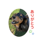 るー、れお、みる（個別スタンプ：2）