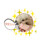 るー、れお、みる（個別スタンプ：7）