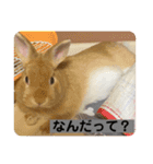 るー、れお、みる（個別スタンプ：12）