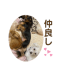 るー、れお、みる（個別スタンプ：14）