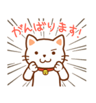 しろねこのミミと時々ソラ（個別スタンプ：19）