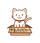 しろねこのミミと時々ソラ（個別スタンプ：31）