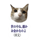 やる気のない猫のしょこたん（個別スタンプ：13）