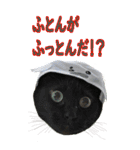 やる気のない猫のしょこたん（個別スタンプ：15）