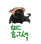 やる気のない猫のしょこたん（個別スタンプ：19）