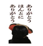 やる気のない猫のしょこたん（個別スタンプ：34）