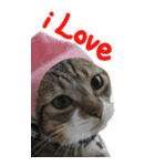 やる気のない猫のしょこたん（個別スタンプ：36）