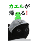 やる気のない猫のしょこたん（個別スタンプ：40）
