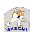 私の柴犬さん【毎日便利】（個別スタンプ：26）