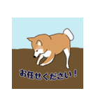 私の柴犬さん【毎日便利】（個別スタンプ：32）