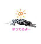 ダルメシアンのアンディだよーno.6（個別スタンプ：12）