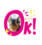 ミニピンるーく（個別スタンプ：5）