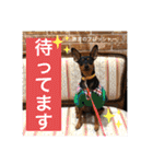 ミニピンるーく（個別スタンプ：8）