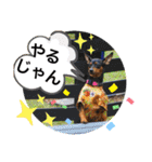 ミニピンるーく（個別スタンプ：14）