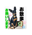 ミニピンるーく（個別スタンプ：22）