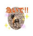 ミニピンるーく（個別スタンプ：23）