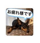 ミニピンるーく（個別スタンプ：27）