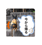 ミニピンるーく（個別スタンプ：28）