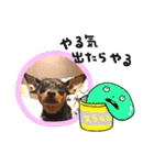 ミニピンるーく（個別スタンプ：32）