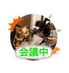 ミニピンるーく（個別スタンプ：33）