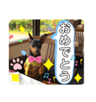 ミニピンるーく（個別スタンプ：40）