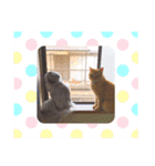 aiaiaiboo（個別スタンプ：2）