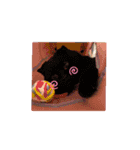 aiaiaiboo（個別スタンプ：3）